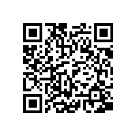 高压电机与低压电机相比有哪些优缺点