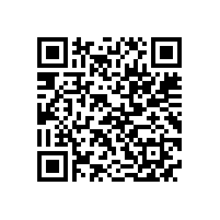 JBT 10105-2017 YZR系列起重及冶金用绕线转子三相异步电动机技术条件(112-400)