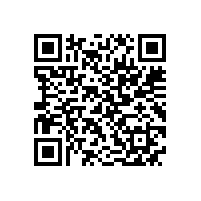 JBT 1012-2017 YY系列电容运转异步电动机 技术条件