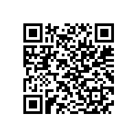 JBT 12729-2016 YKK YXKK系列10kV三相异步电动机技术条件及能效分级(机座号400-630)