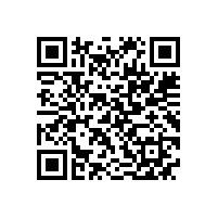 JBT 7594-2018 YR系列高压绕线转子三相异步电动机技术条件（机座号355～630）