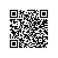 林翎：建立领跑者制度，促进电机系统能效升级