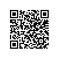 浅谈高压电动机精密检修与深度保养的应用