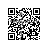 QWN.291-2021 YE4系列(IP55)三相异步电动机技术条件（机座号63～355）2