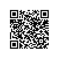 QWN.356-2022 YE4L系列三相异步电动机技术条件（机座号63-160）