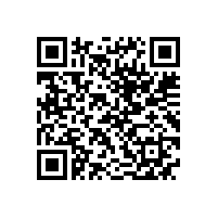 QWN.600-2021 YE3系列(IP55)三相异步电动机技术条件(机座号63～355)