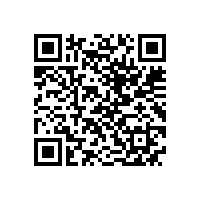 QWN.823-2022 YFB系列(6kV)高压高效率粉尘防爆三相异步电动机技术条件（机座号355-560）