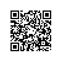 全县“质量月”活动启动仪式在皖南电机举行