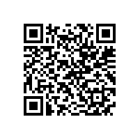 苏尔寿全球采购总监一行来皖南电机参观考察