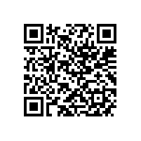 省工信厅副厅长姚凯调研皖南电机