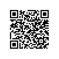 省经信厅领导来皖南电机调研