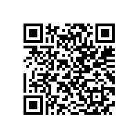 孙跃应邀参加高效电机技术推广交流会