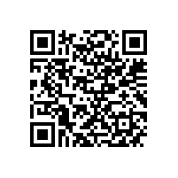 腾龙闹新春 南华更辉煌