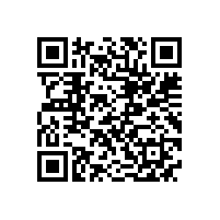 泰威公司威力盟公司举行十周年庆典