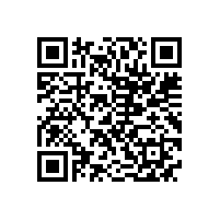 我国多种高效节能电机的发展状况