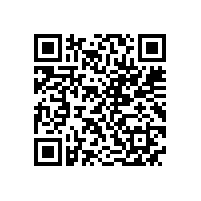 皖南电机样本-YXVF系列