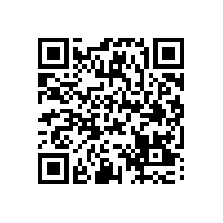 皖南电机党委书记管兵宣讲党的十九大精神