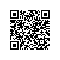 皖南电机进军汽车电机市场