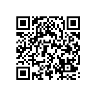 皖南电机开展年度第二次一体化管理体系内审