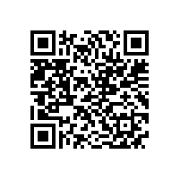 皖南电机入选“安徽省2022年制造业单项冠军培育企业”