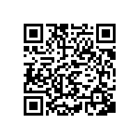 皖南电机孙跃参加电机国家标准起草工作会议