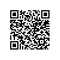 皖南电机售后服务案例一：电机定子绕组对地击穿