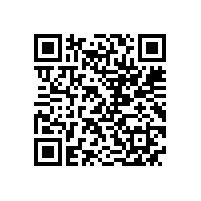 皖南电机样本-NE系列