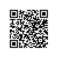 皖南电机样本-NS系列