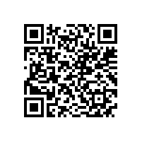 皖南电机样本-YBS系列