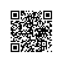 皖南电机样本-YBX3系列（CT4）