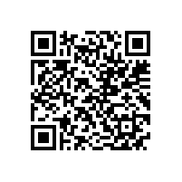 皖南电机样本-YE2系列