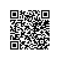 皖南电机样本-YE4系列