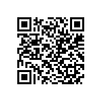 皖南电机样本-YS系列