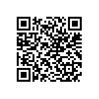 皖南电机样本-ZBL4直流系列