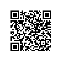 皖南电机样本-ZSL4直流系列