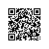 皖南电机一体化管理体系外审圆满结束