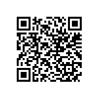 皖南电机一体化管理体系外审圆满结束