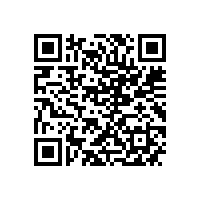 威能公司YXKK900-6 6000KW电机快速交付