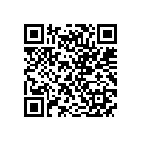 皖南高压电机-YHP系列（电站磨煤机专用）