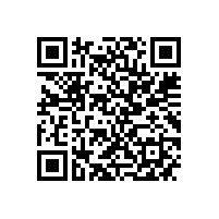 优化管理效能 筑牢新质生产力根基