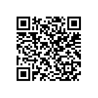 YX3高效电机和YE2高效电机的区别