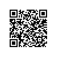 一种电动机再起动方法在石化企业中的应用