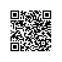 中国港口协会筒仓与散粮运输分会与会代表到皖南电机参观调研