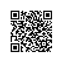 安标国家中心专家组来皖南电机进行监督评审