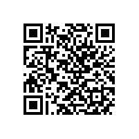 市政协副主席周小红来皖南电机调研