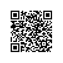 皖南高压电机-Y2系列高压（6kV）