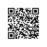 安监总局暗查山东3家化工企业 安全隐患严重