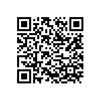 当凸轮转子泵发生故障时应该如何应对