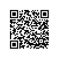 弹性体凸轮转子泵的现状及发展趋势