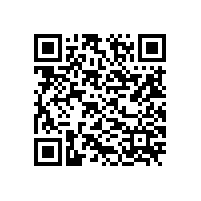 辽宁新兴化工厂油槽车自燃 无人伤亡